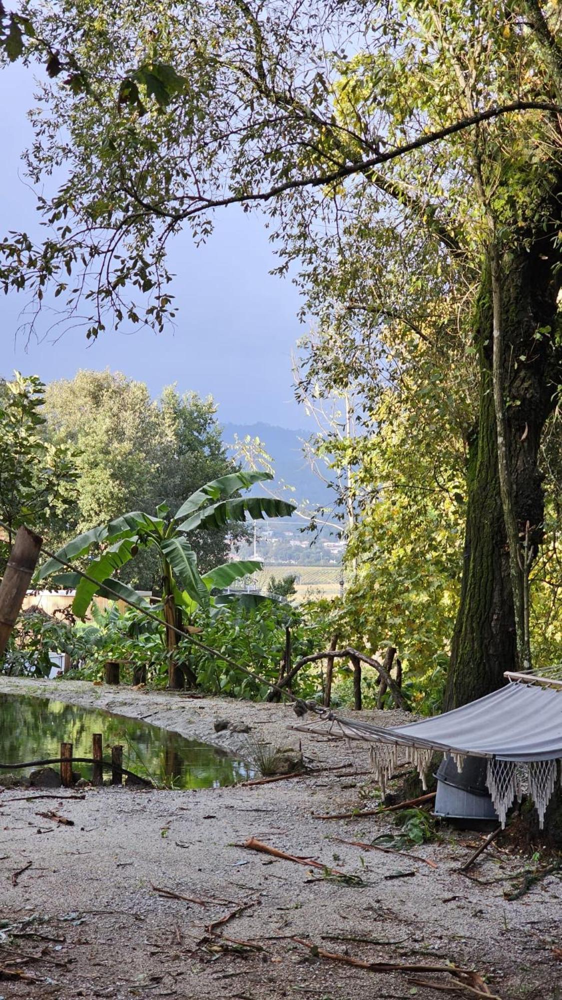 Quinta Miminel Hotel Rabuide Buitenkant foto